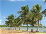 Los Machos Beach - CEIBA